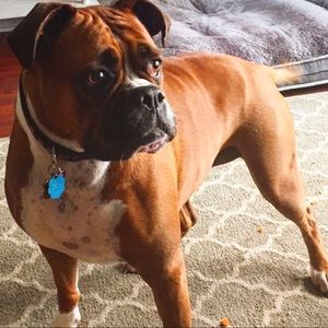 Meet your Posher, Colleen